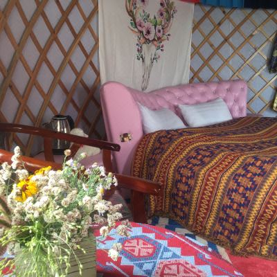 蒙古包大床房(橄榄树&木华黎)