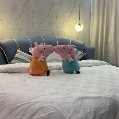 网红轻奢情侣套房[i7-3070-32G内存+游戏特权]-独立新风系统,冰箱