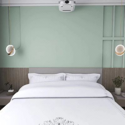 轻奢投影大床房