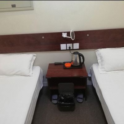 标准双床房（无窗）