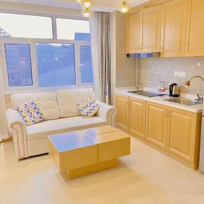 豪华山景一室一厅