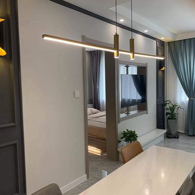 精致一室一厅套房