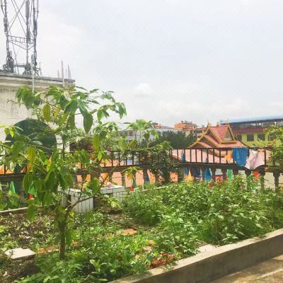 六人间（男生床位）（公共卫浴）