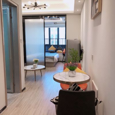 豪华舒适一房一厅