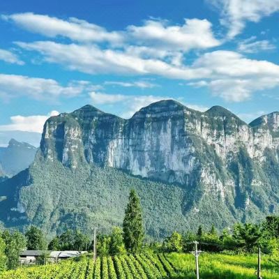 澜山·峡谷绝壁景观亲子房