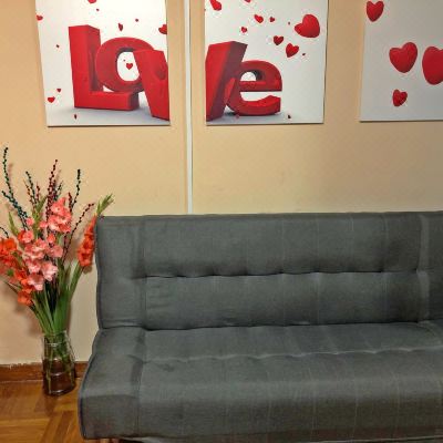 公共客厅女生沙发床