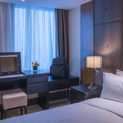 豪华行政一居室