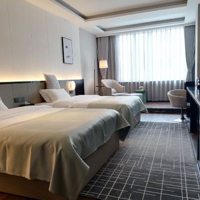 高级双床房（酒店提供自助洗衣机+微波炉+电冰箱+电动马桶）