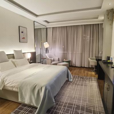 高级大床房（酒店提供自助洗衣机+微波炉+电冰箱+电动马桶）