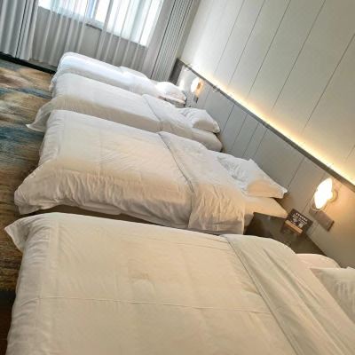 商务电脑四人房（酒店提供自助洗衣机+微波炉+电冰箱+电动马桶）