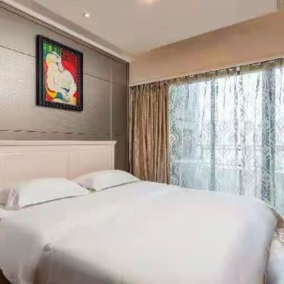 尊享豪华商务两室一厅套房