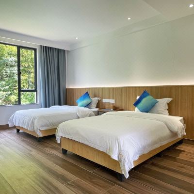 山景高级双床房