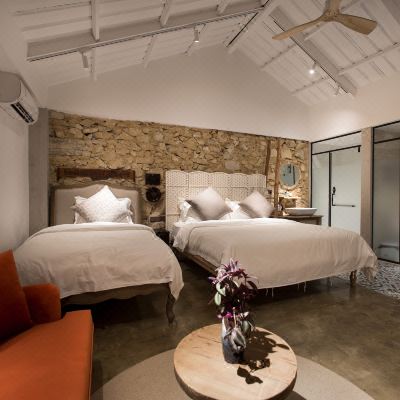 石头屋君子兰家庭房