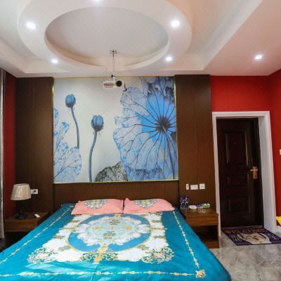 现代家庭投影房