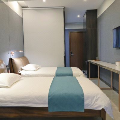 伊阙龙门双床房(智能客控+乳胶床垫+按摩椅+全屋软水)