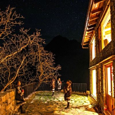 揽星独栋别墅庭院