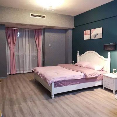 青春靓影大床房1407