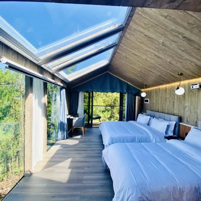 森林观景双床房