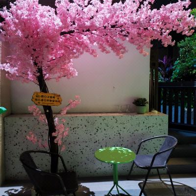 海边7房度假别墅