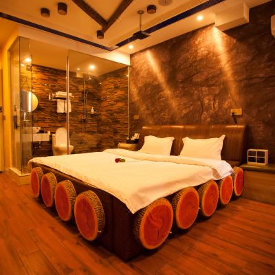 真情实意投影电动房