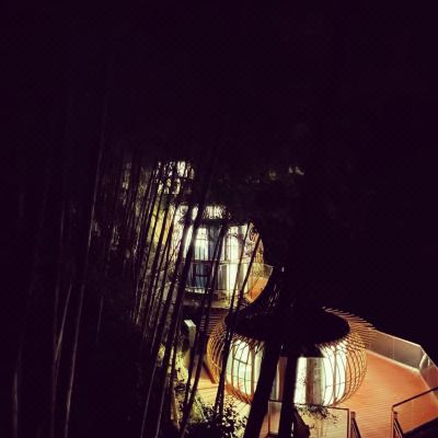 雅致星空房（单层独栋）