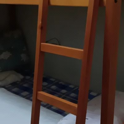 女神四人间（公共卫浴）（一人一床位）