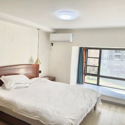 高档一室一厅套房