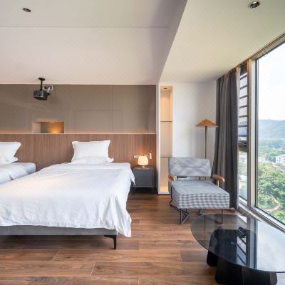 豪华山景观影双床房-204