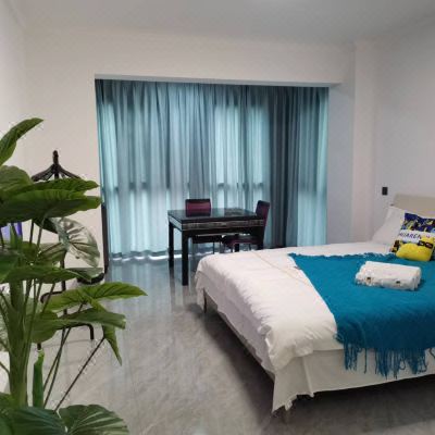 清馨幽舍二室一厨房大床房