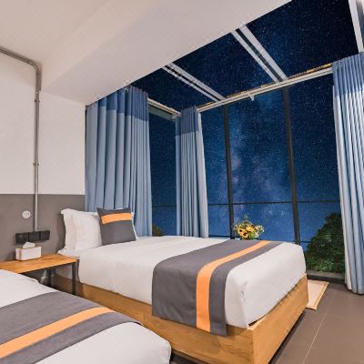 观湖·星空双床房