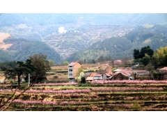  岩下村岩背村 