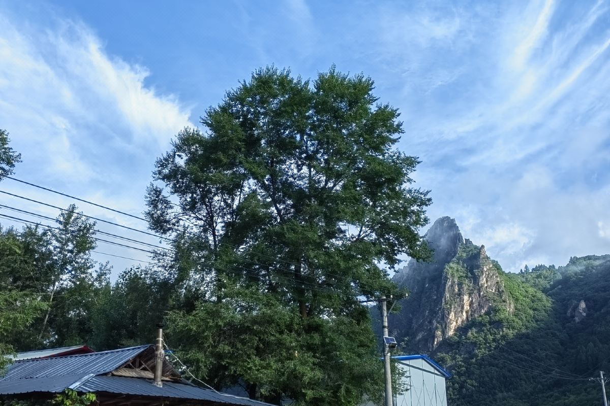  天下民宿 之 长白望天鹅新村河口饭店 