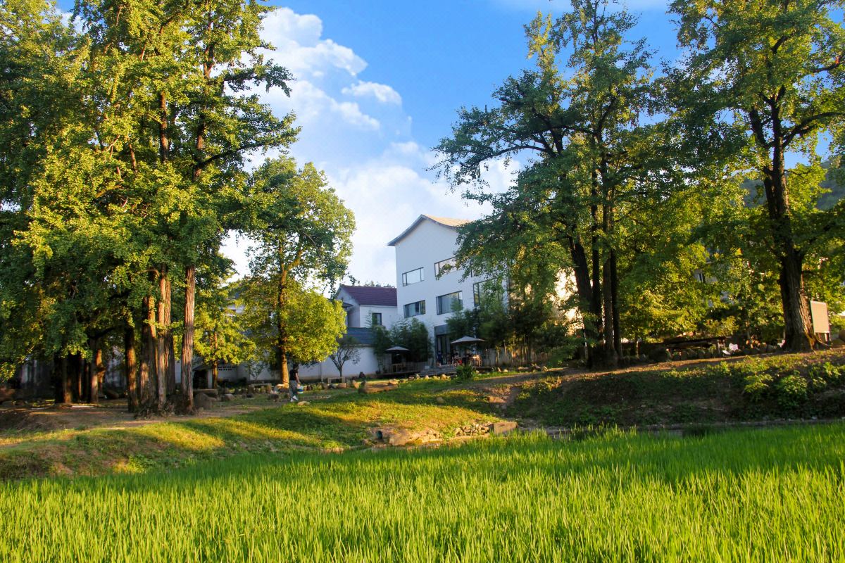  天下民宿 之 花筑·杭州谷子山房民宿 