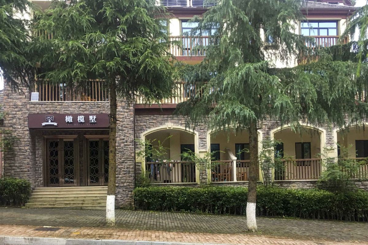  天下民宿 之 重庆橄榄墅酒店 