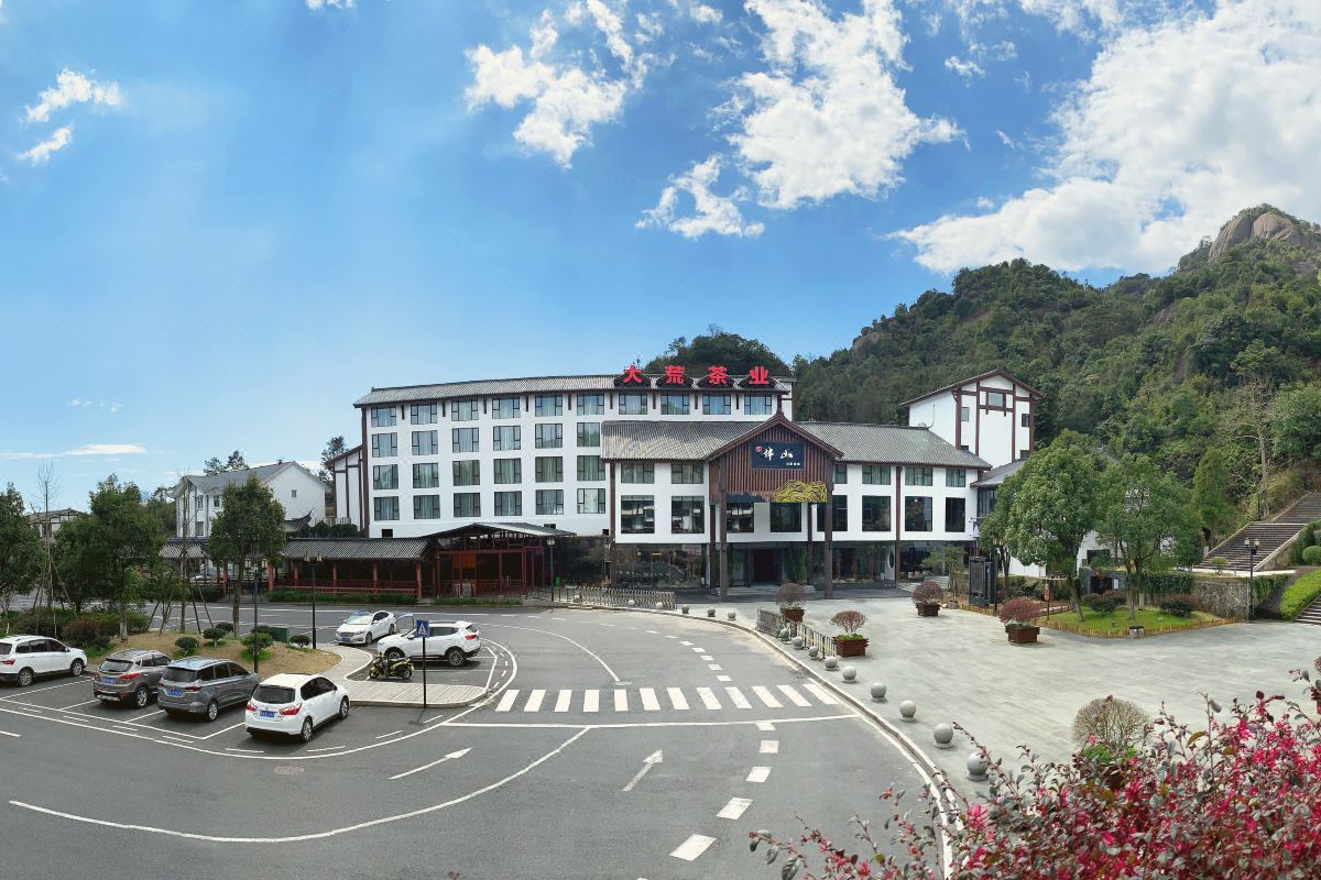  天下民宿 之 大荒森林荒野老树白茶客栈 