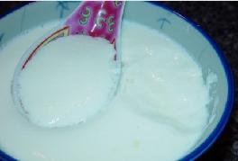 传统姜撞奶