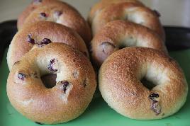 玉米杂粮蔓越莓bagel