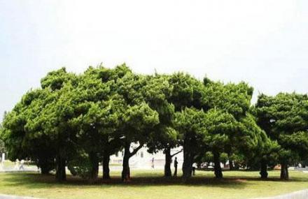 大连旅顺植物园