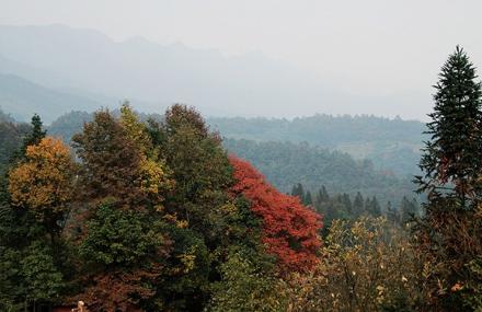 雅安碧峰峡