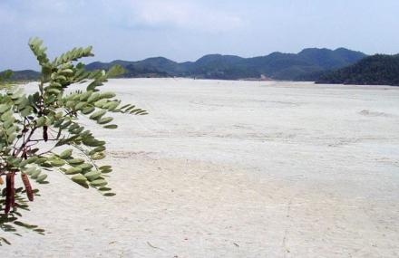 岳阳临湘江南大漠