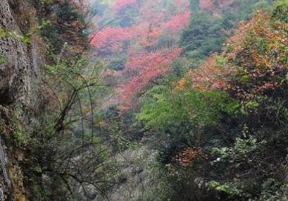 十堰太极峡风景区