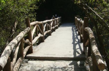 上饶大鄣山卧龙谷风景区