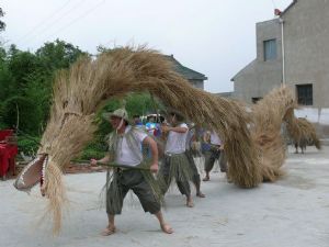  天下民宿 特产 之 舞草龙 