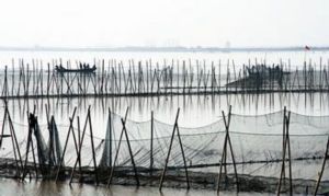  天下民宿 特产 之 鄱阳湖传统渔业生产习俗 