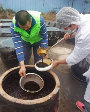  天下民宿 特产 之 狮岭黄豆酱传统制作技艺 