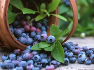  天下民宿 特产 之 博山蓝莓 