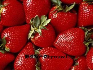  天下民宿 特产 之 蚌埠草莓 