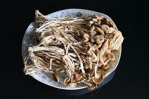  天下民宿 特产 之 中华神菇-- 茶树菇 