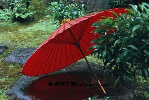  天下民宿 特产 之 泸州红伞 