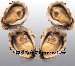  天下民宿 特产 之 台湾牡蛎 